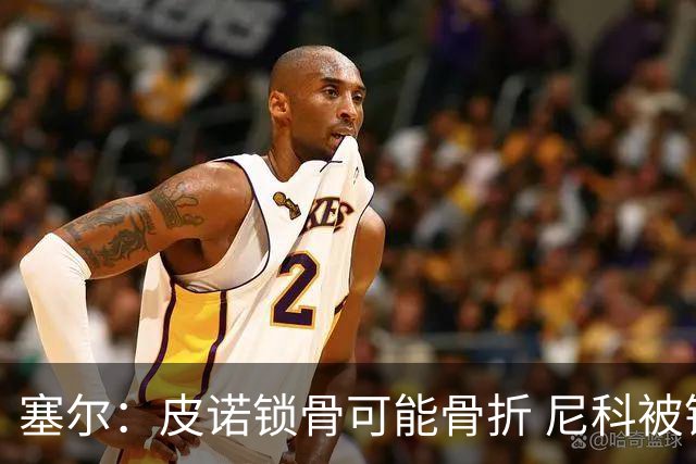 塞尔：皮诺锁骨可能骨折 尼科被铲伤可能提前结束世界杯之旅