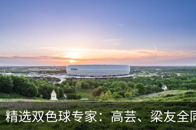 精选双色球专家：高芸、梁友全同中二等279万！