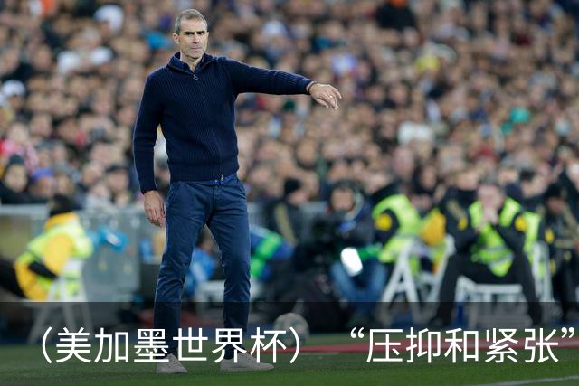 （美加墨世界杯）“压抑和紧张”中的伊朗队首秀
