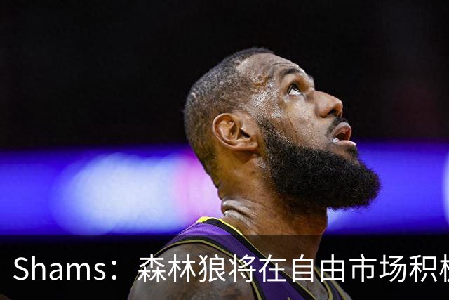 Shams：森林狼将在自由市场积极补强4号位 但他们只能提供底薪